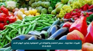 تغيرات مفاجئة.. سعر الخضار والفواكه في المنوفية يتباين اليوم الأحد 31-8-2025